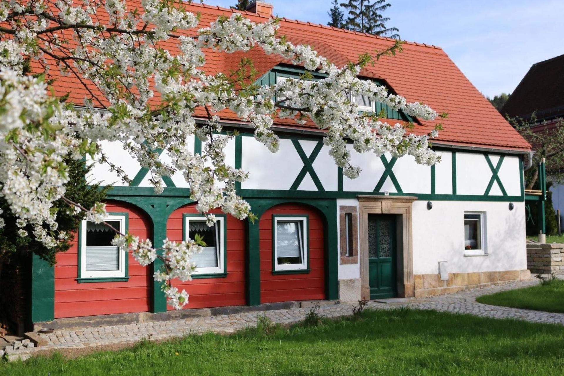 Ferienwohnung In Kurort Jonsdorf Mit Terrasse, Grill Und Garten Exterior foto